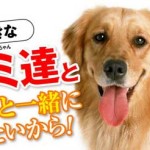 犬康食・ワンプレミアムが初回限定特価で販売中！