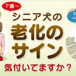 ポチの味方が初回キャンペーンで500円！